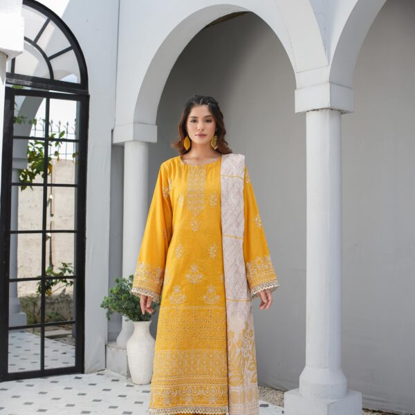 Manizay Meray Naina Premium Embroidered Bana Dora Lawn With Fancy Lawn Dupatta M-02