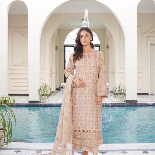 Manizay Arooj Premium Embroidered Bana Dora Lawn With Embroidered Crinkle Dupatta M-01