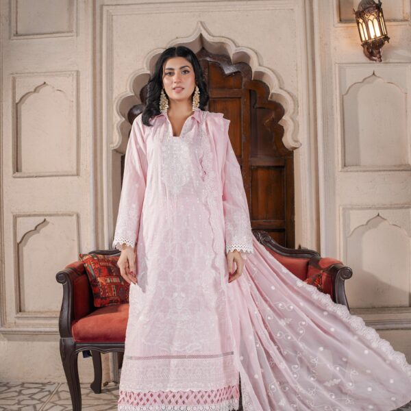 Manizay Manzil Premium Embroidered Bana Dora Lawn With Embroidered Crinkle Dupatta 10 Articles in One Box