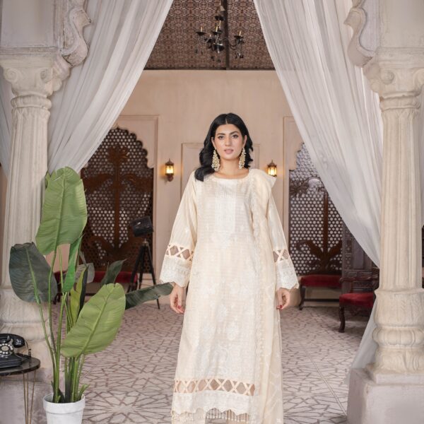 Manizay Manzil Premium Embroidered Bana Dora Lawn With Embroidered Crinkle Dupatta M-04