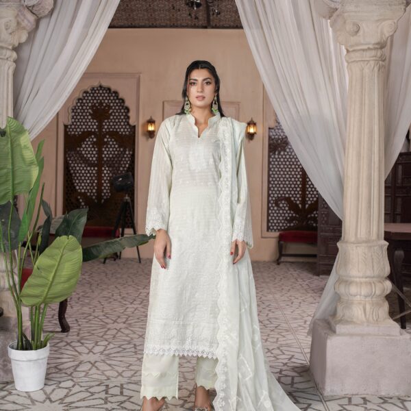 Manizay Manzil Premium Embroidered Bana Dora Lawn With Embroidered Crinkle Dupatta M-10
