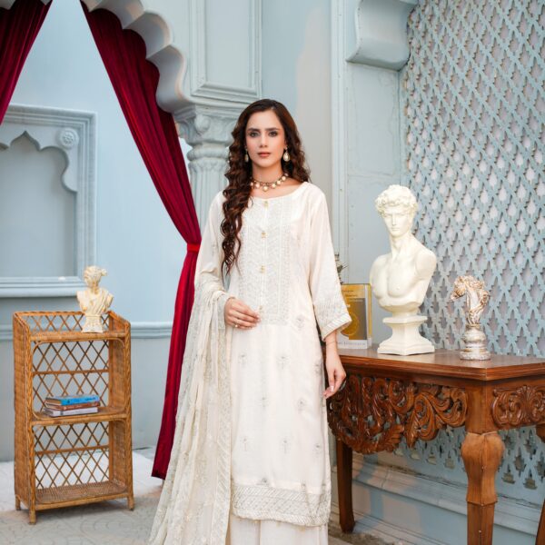 Manizay Dastaan E Noori Premium Embroidered Karandi With Heavy Embroidered Chiffon Dupatta M-02