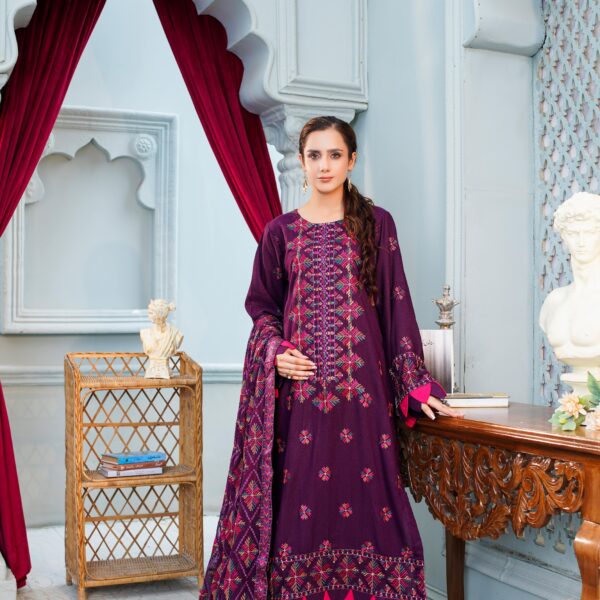 Manizay Dastaan E Noori Premium Embroidered Karandi With Heavy Embroidered Chiffon Dupatta M-08