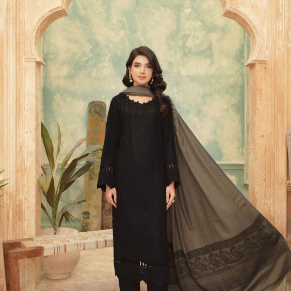 Manizay Dhalti Shaam Premium Embroidered Winter Dhanak With Pure Pashmina Shawl M-03
