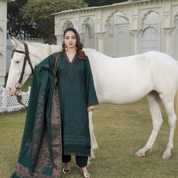 Manizay Pas E Aaiina Premium Embroidered Peach Leather With Pure Pashmina Shawl M-03