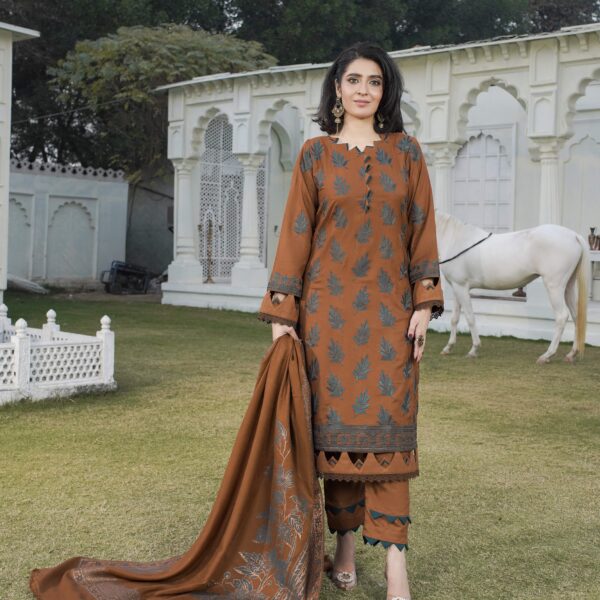 Manizay Pas E Aaiina Premium Embroidered Peach Leather With Pure Pashmina Shawl M-06